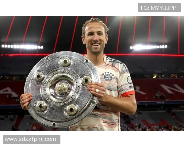 拜仁慕尼黑：豪取德甲连胜冠军的背后秘密